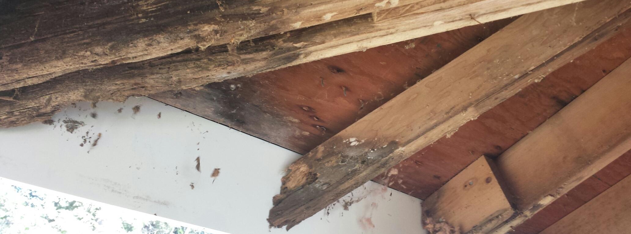 verborgen gebrek advocaat aansprakelijk